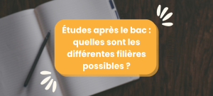 Lire la suite à propos de l’article Études après le bac : quelles sont les différentes filières possibles ?